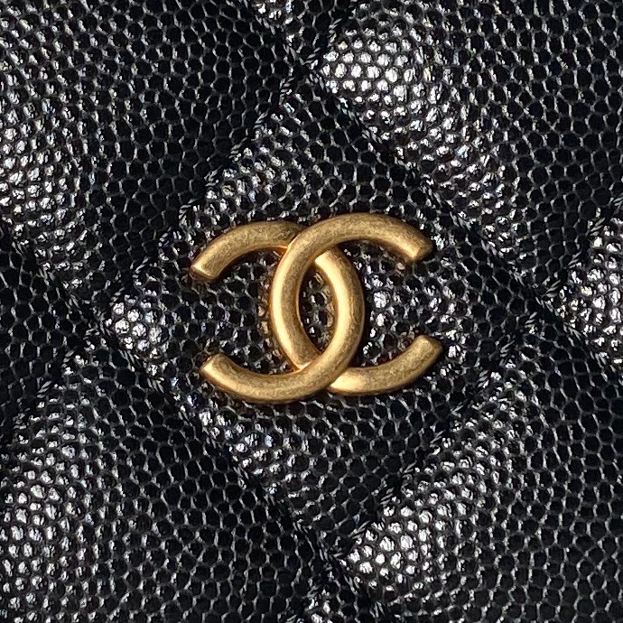 Chanel Hobo Bags